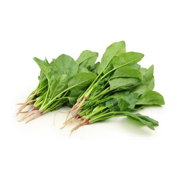 

HORENSO / BAYAM JEPANG ORGANIK BSP FARM 200GR