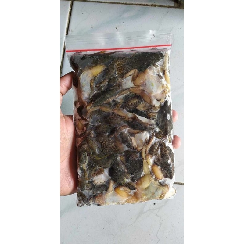 Katak / Kodok / Bancet Sawah / Hijau / Ijo Beku pakan arwana, pakan channa paket grosir