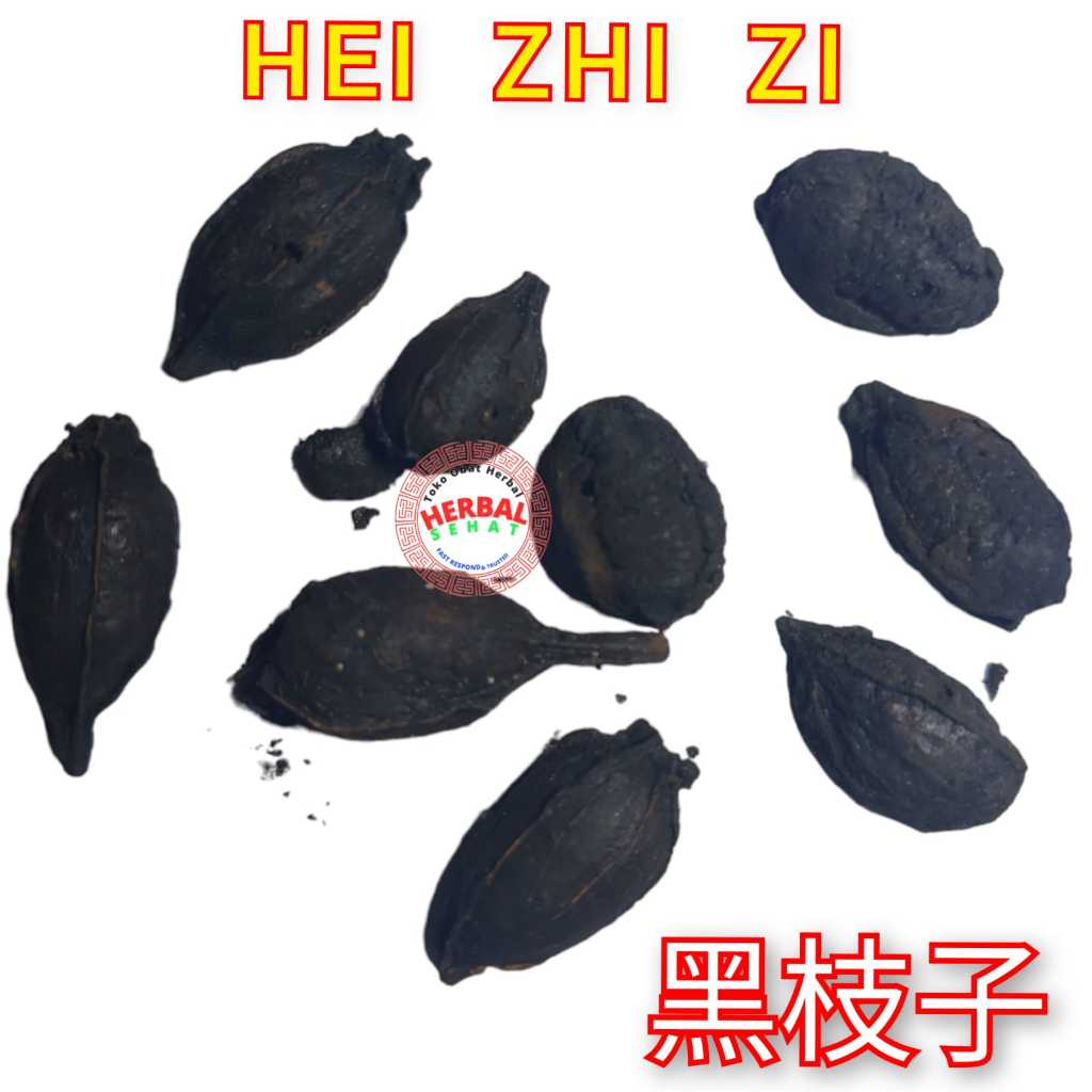 

300 gram Hei Zhi Zi 黑枝子 黑栀子 Kacapiring Hitam Cape Jasmine Fruit Fruit of Cape Jasmine