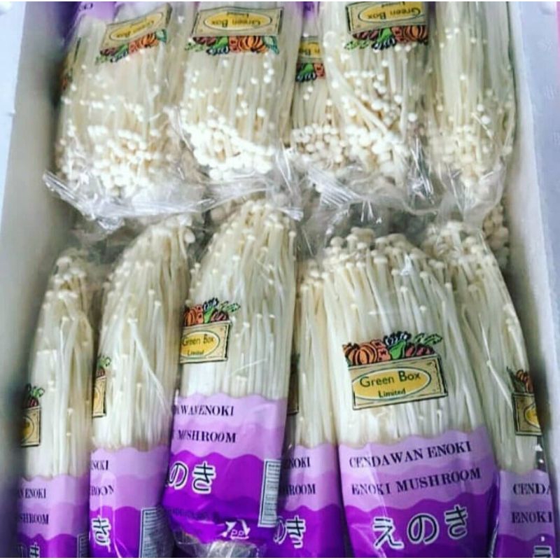 

1 PACK JAMUR ENOKI MALANG MURAH GRATIS ONGKIR BISA COD