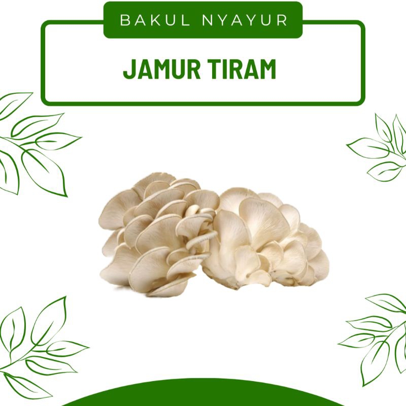 

Jamur Tiram PerPack