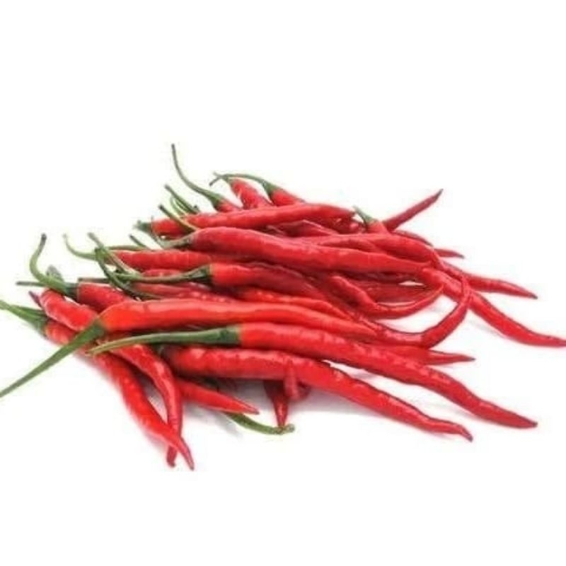 

CABAI MERAH KERITING | SAYUR MURAH | SAYUR FRESH