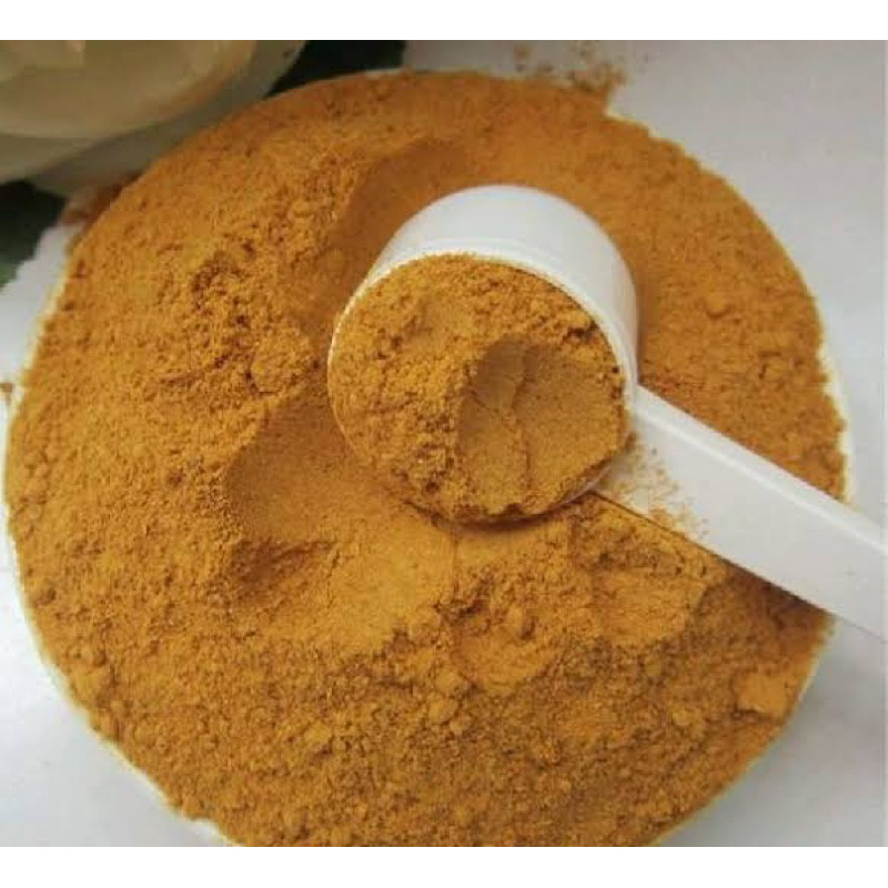 cordyceps militaris 500gr powder