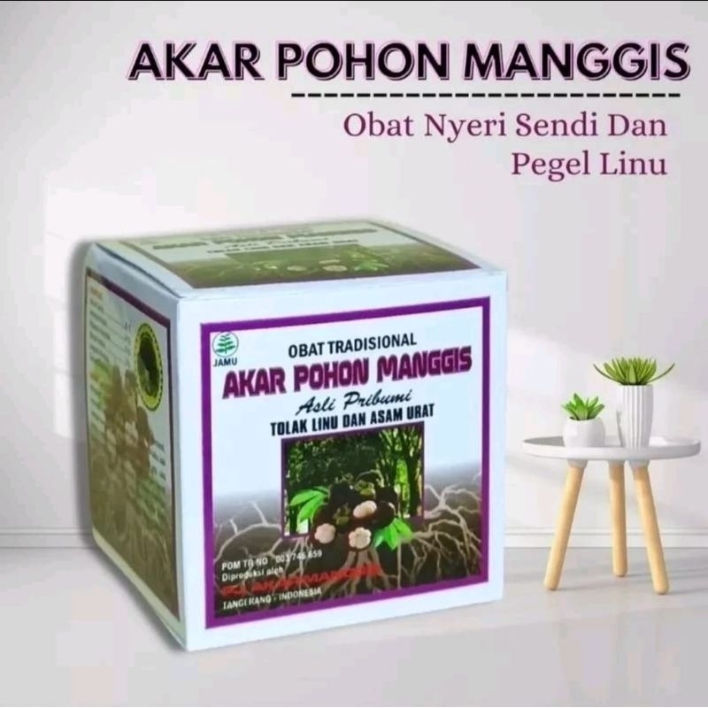 Akar Pohon Manggis Kapsul Original
