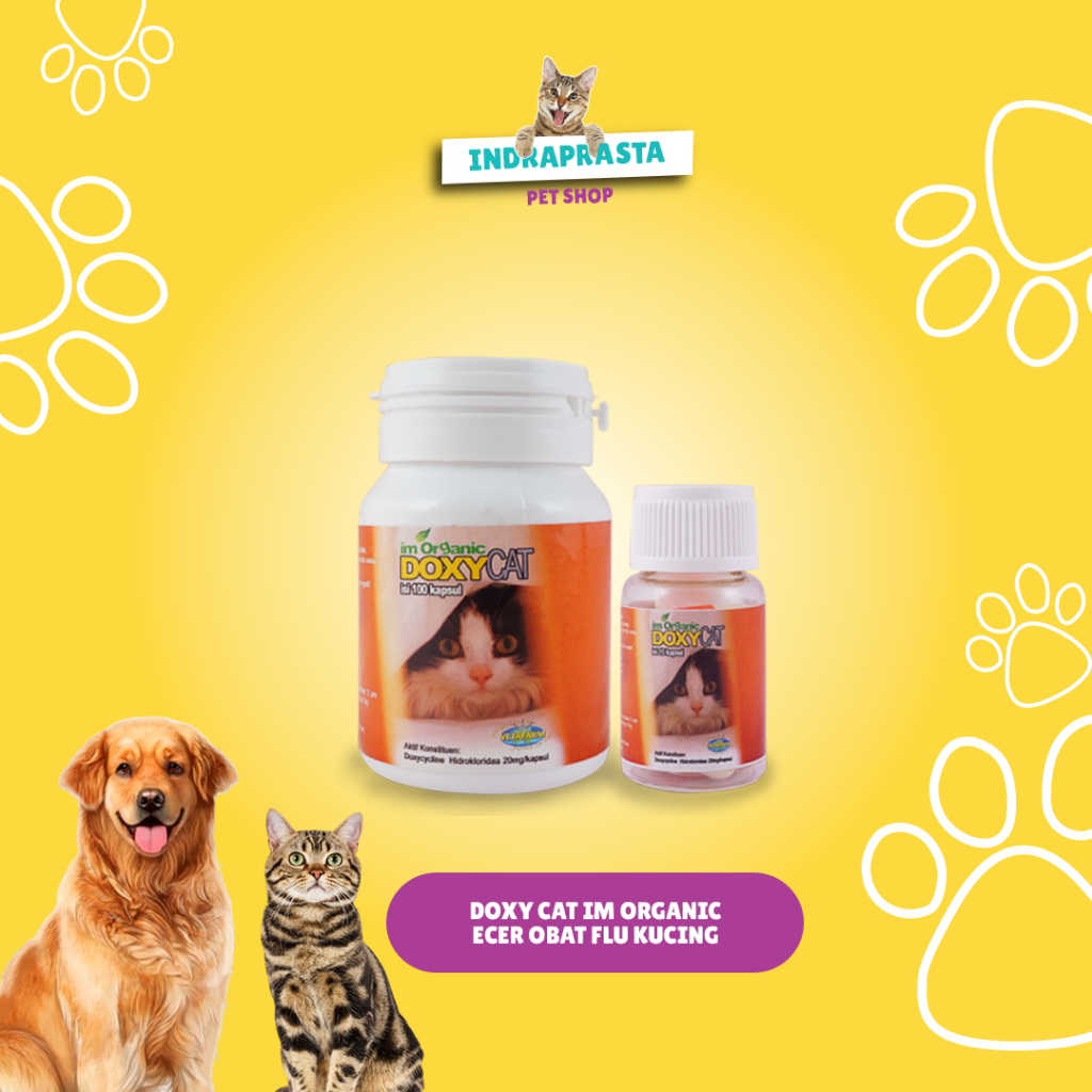 Doxy Cat Im Organic Ecer Obat Flu Kucing