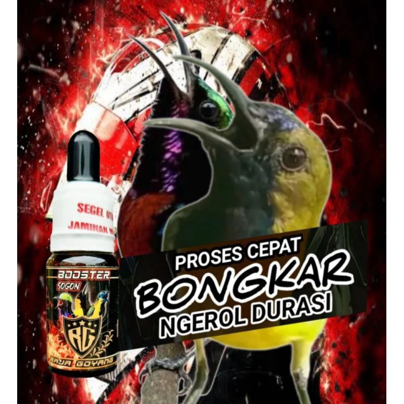 BOOSTER SOGON RG DOSIS TINGGI VITAMIN/DOPING SOGON PENGGACOR SOGON
