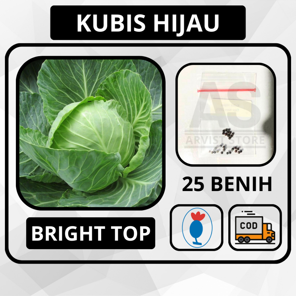 25 Butir - Kubis Hijau Kol BRIGHT TOP Known You Seed Bibit Sayuran Tanaman