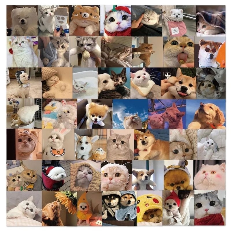 

48pcs Sticker Cute Cat Dog Square Grafitti Stiker PVC Anjing Kucing Lucu Laptop Koper HP Waterproof
