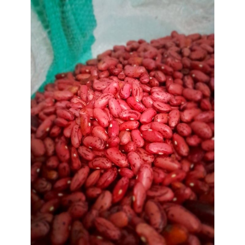 

KACANG MERAH ORGANIK KERING UNTUK BENIH/SOP SNEREK/MP ASI