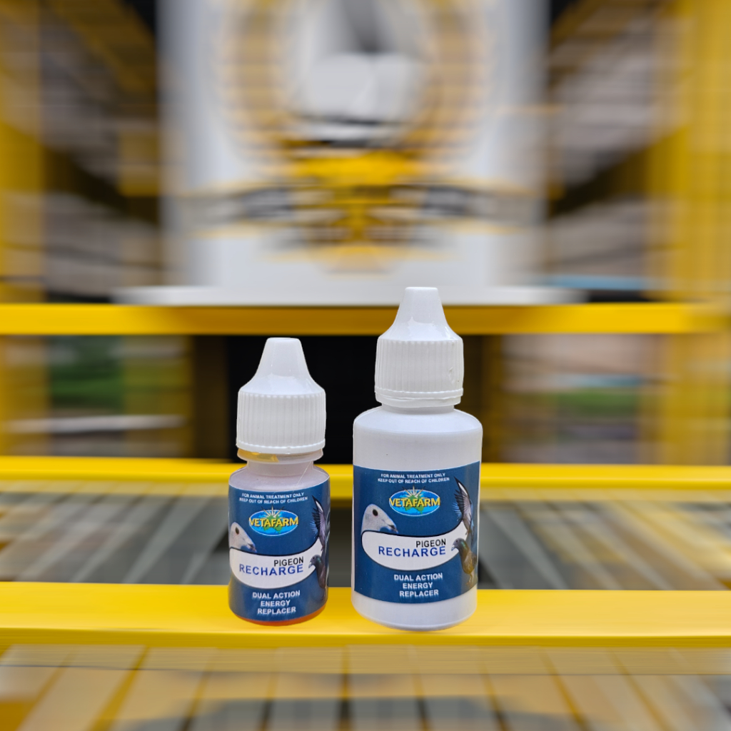 (ORIGINAL AUSTRALIA) RECHARGE VETAFARM MINUMAN VITAMIN DOPING BURUNG MERPATI