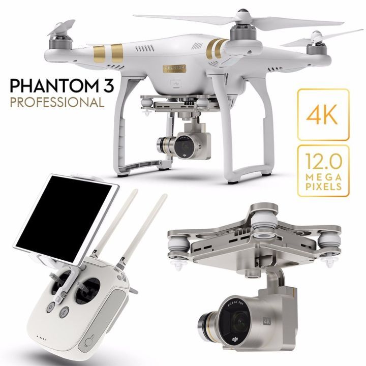 Dji Phantom 3 Professional / Drone