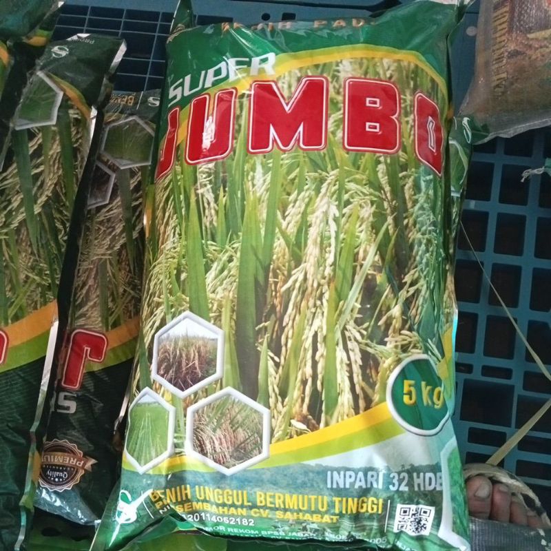 Benih padi Super Jumbo Inpari 32 hbd 5kg