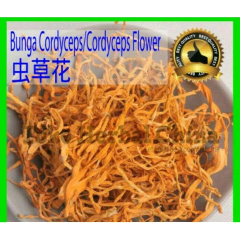 

10 G 50 GR 100 GRAM 虫草花 CHONG CAO HUA TEH BUNGA CORDYCEPS NATURAL FLOWER TEA