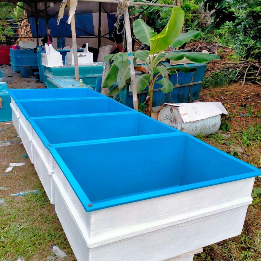 kolam Ikan Dari fiberglass  UK 125x85x50 + Tulangn Holo Besi 4x2 cm.