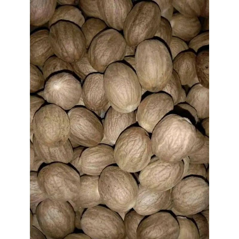 

pala kupas kwalitas terbaik/1kg