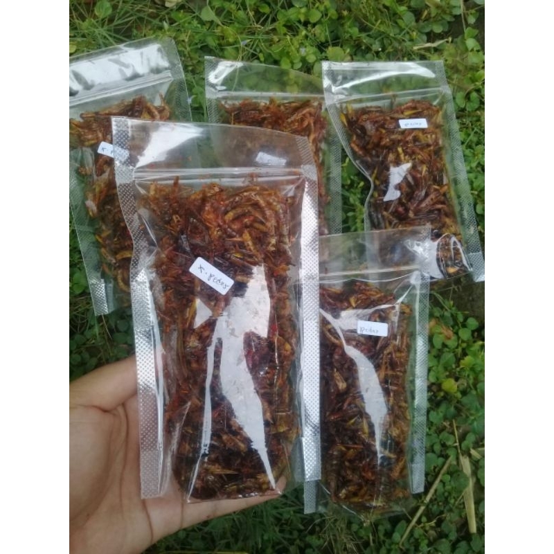 

Belalang Goreng Utis Kemasan Standing Pouch Asli Boyolali/ Walang Goreng Murah