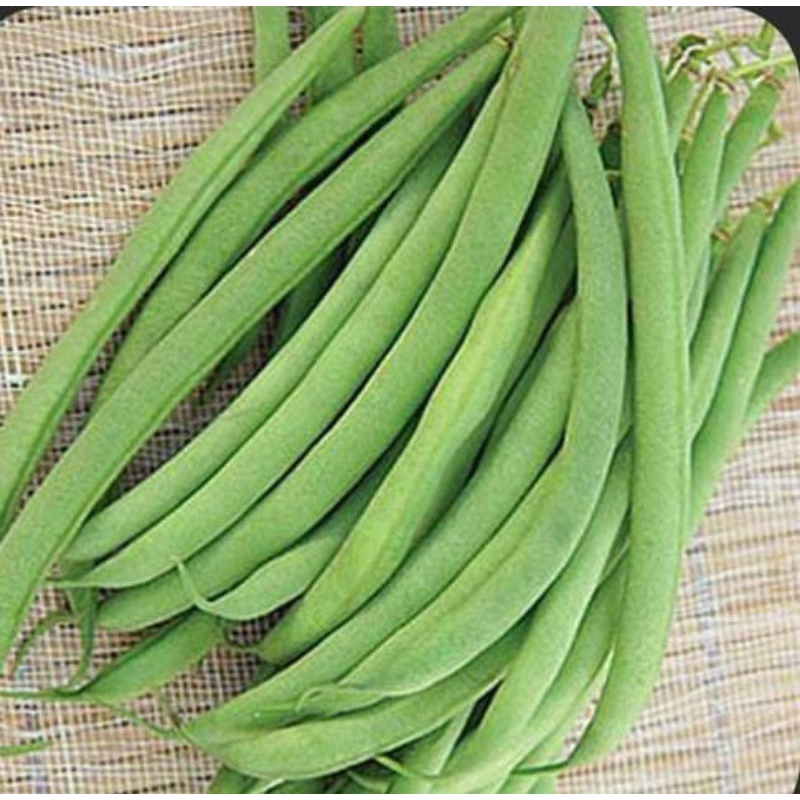 

Buncis 250 gram