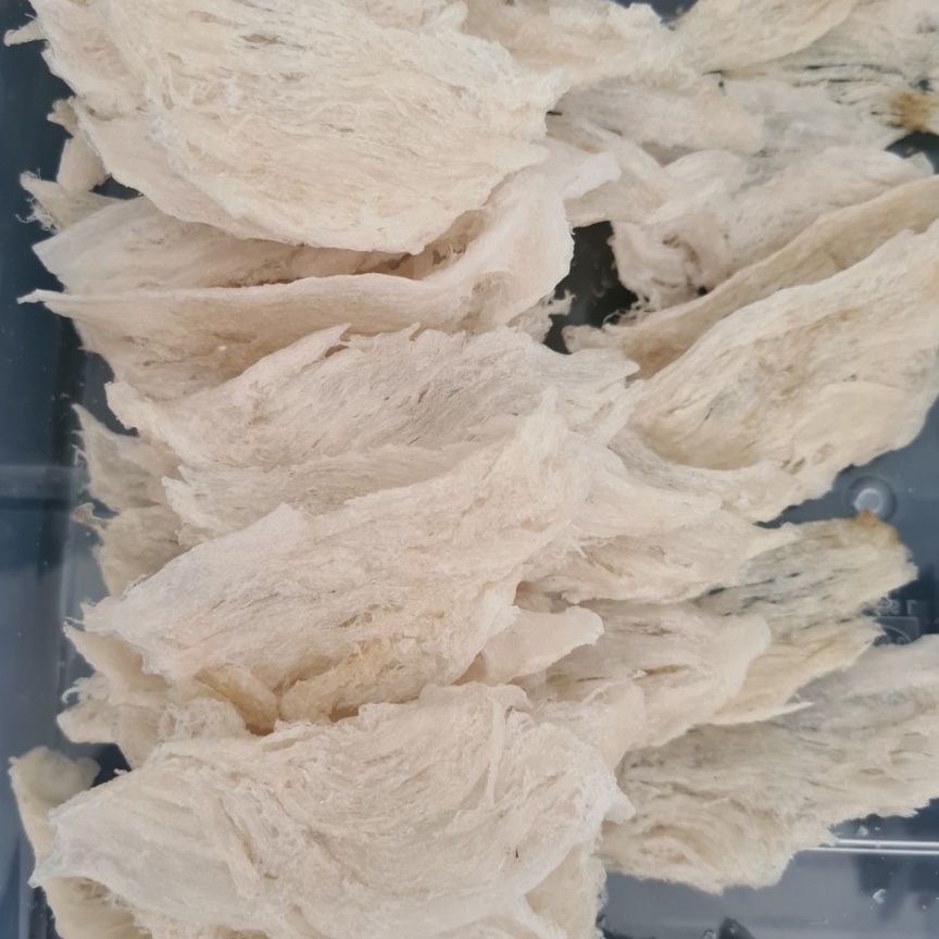 

New event Sarang Burung Walet Birdnest Bersih Patahan Besar Sedang Kecil Natural Asli Yenwo Harga Per Gram