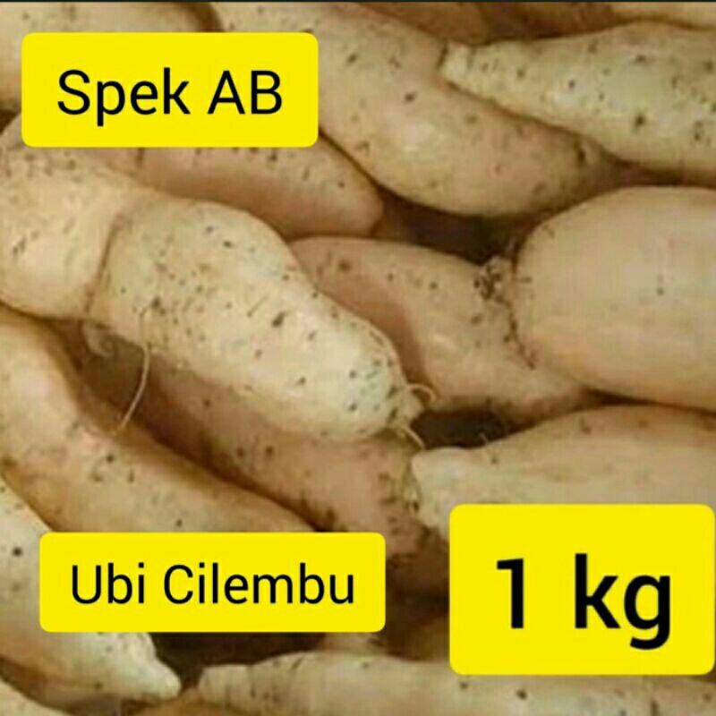 

ubi cilembu madu asli ubi jalar asli murah 1.kg