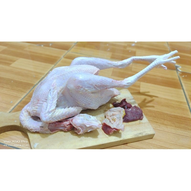 

ayam kampung karkas fresh ukuran 8 ons