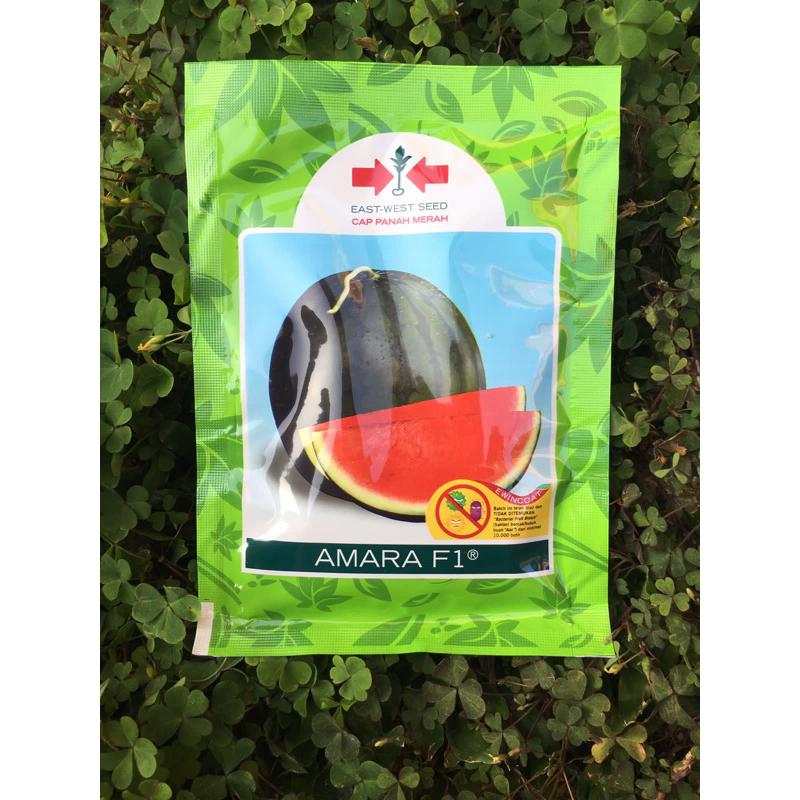 Benih Bibit Semangka AMARA F1 360 Butir Original