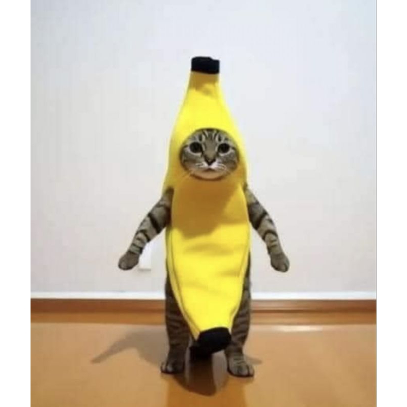 BACA DESKRIPSI❗booked twitter (co sesuai username)