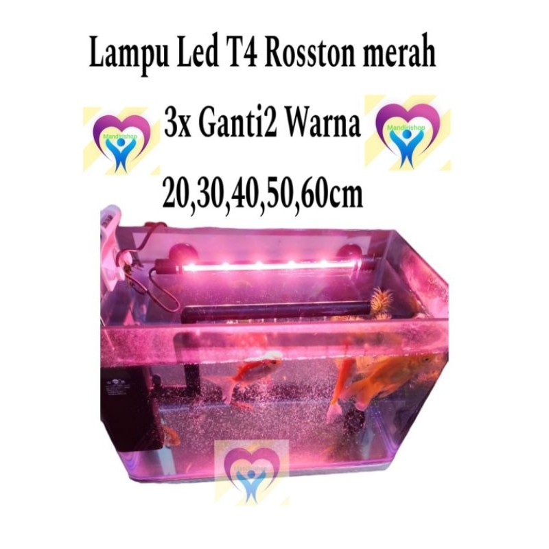 Lampu Led T4 DBL Rosston Led 2baris Warna Merah ukr 20,30,40,50cm