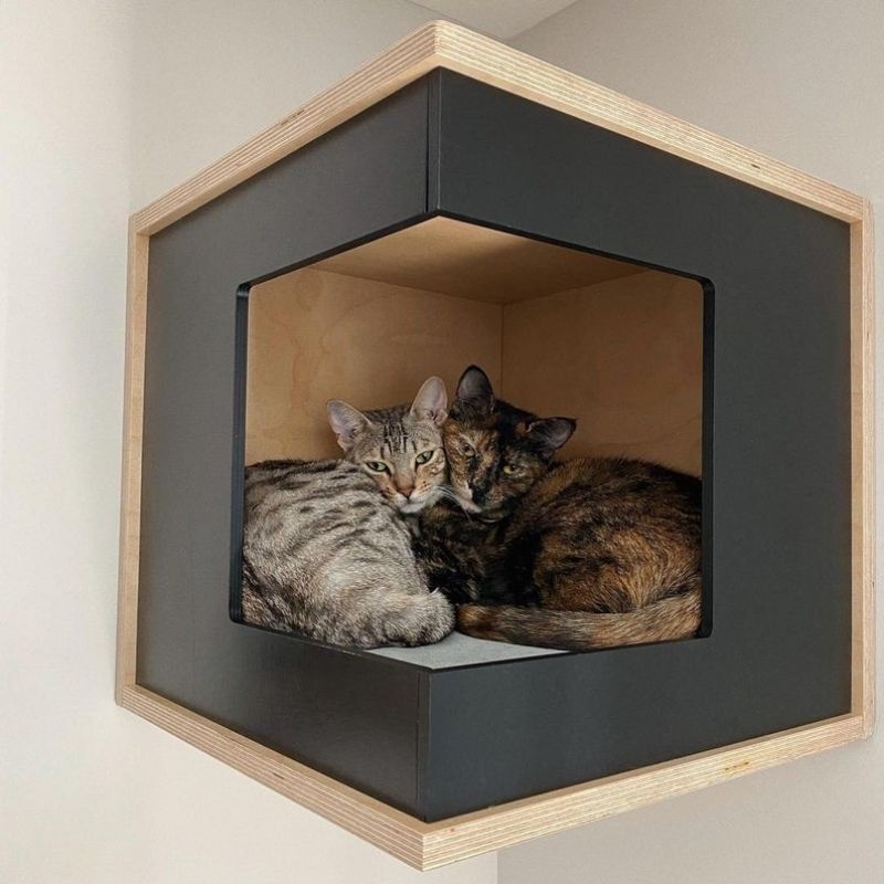 Cat Box | Kotak Kucing | Mainan Kucing | Kandang Kucing