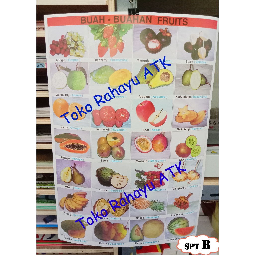 Poster edukasi sayur dan buah buahan belajar anak