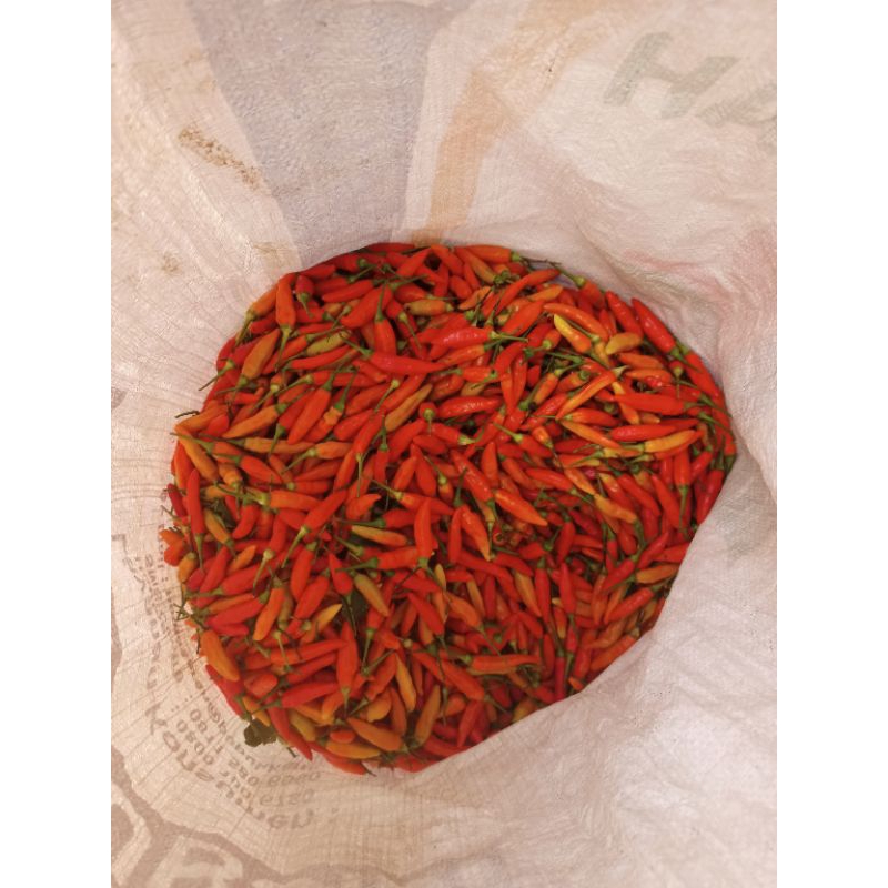 

cabe rawit lombok rawit Chili cabe 100 gram langsung petani