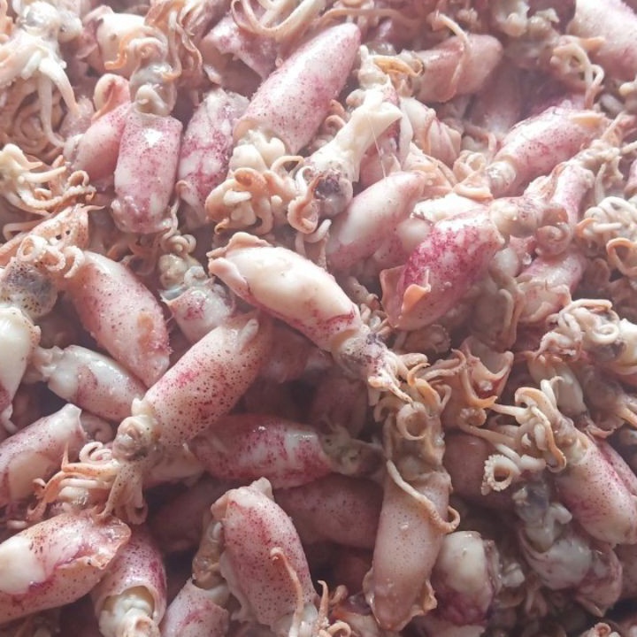 

DISKON Ikan asin cumi Beby 5gr 1sampai 4cmcumi asin baby rebusbasacumi asin baby