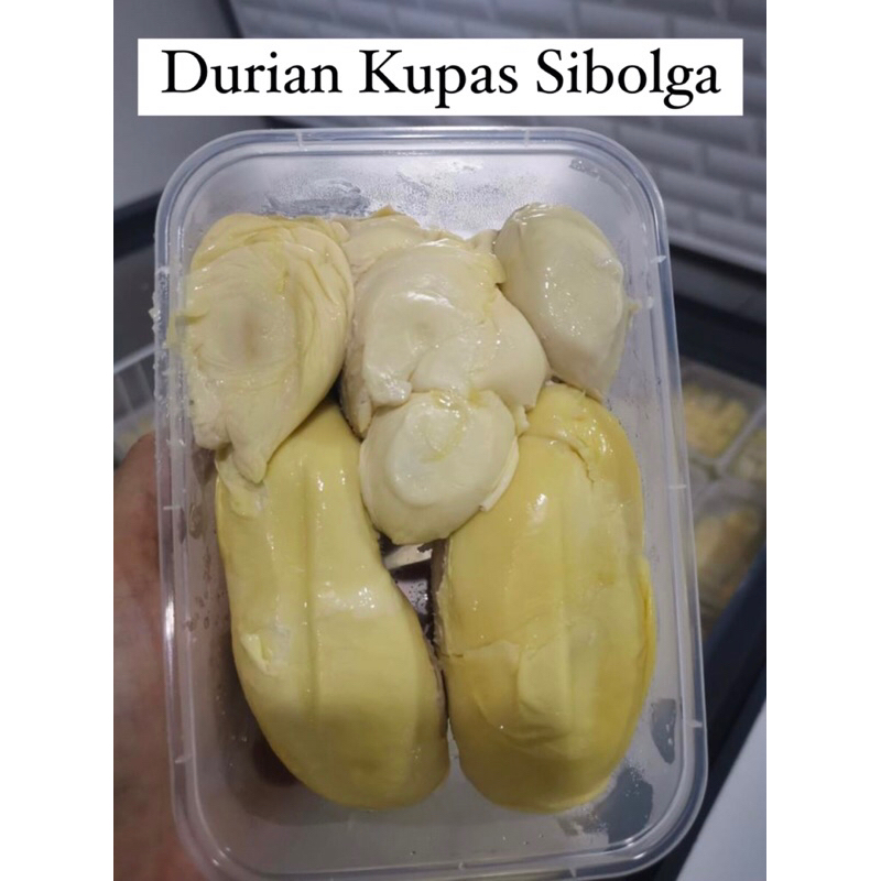 

Durian Duren Kupas Sibolga - Buah Durian Kupas Sibolga Asli Medan Nias Frozen