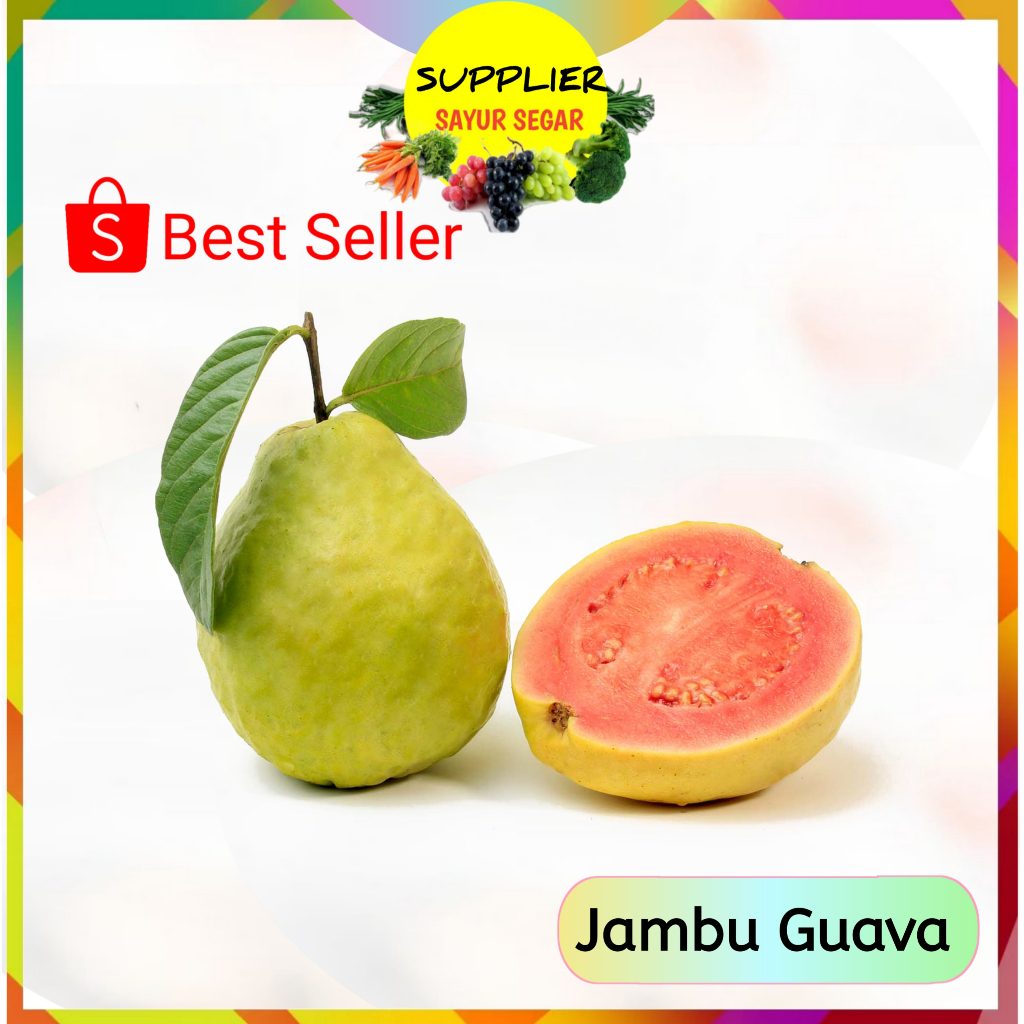 

Buah Jambu Biji Guava - Buahan Segar Online Murah Palembang