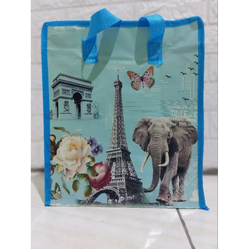 Tas Plastik Mini Tinggi 27x12x32 cm Tas Bekal Makanan