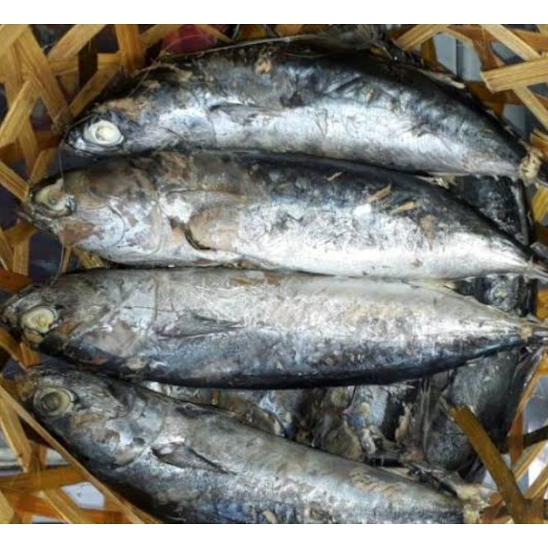 

Ikan pindang per ekor