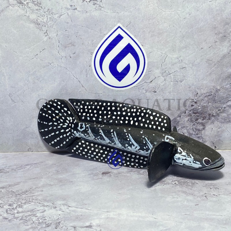 PATUNG CHANNA / PENGGODA CHANNA ASIATICA FULL KAYU