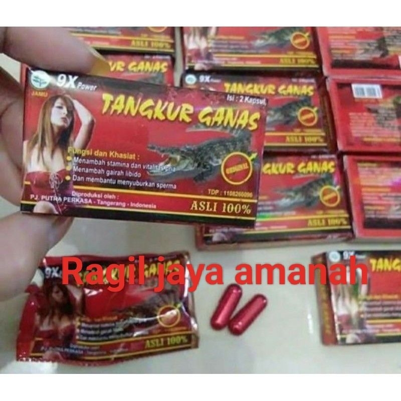 TANGKUR GANAS ORIGINAL