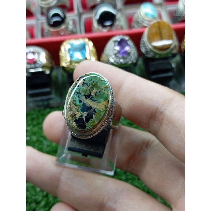 pirus Persia gradasi hitam