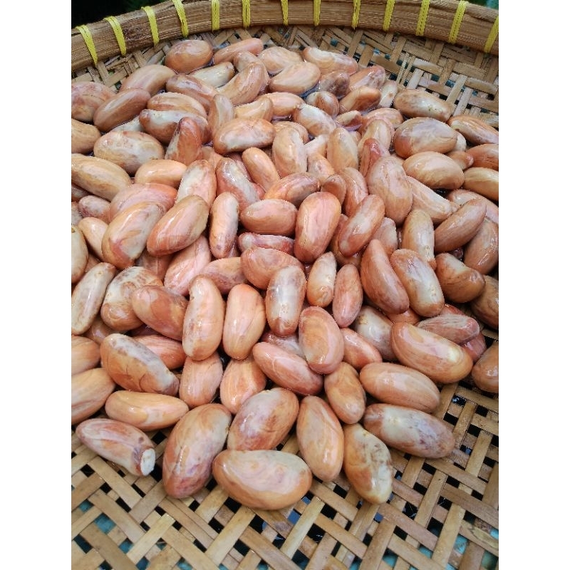 BIJI NANGKA SEGAR 1 KG / BIJI NANGKA