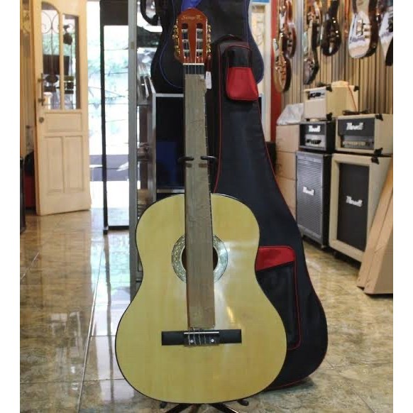 GITAR AKUSTIK STINGER ORIGINAL CG 851 / CG851