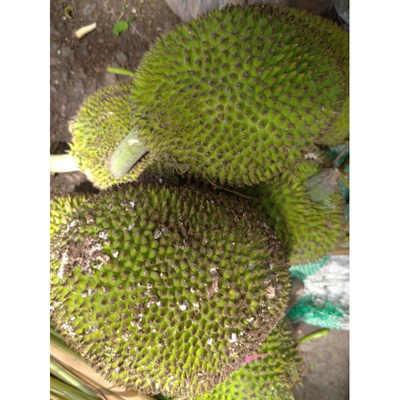 

SAYUR KLUWEH KLUWIH KELUWIH untuk SELAMATAN BAYI