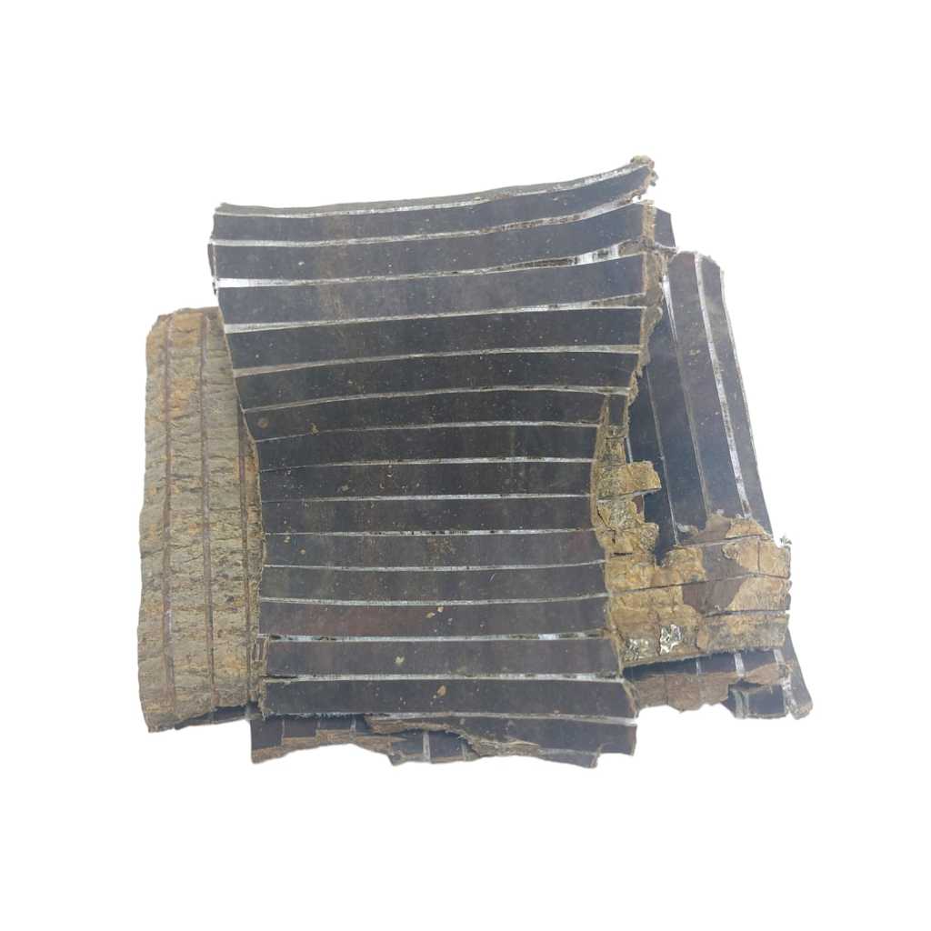 Du Zhong Premium 50 gram To Tiong DuZhong ToTiong Eucommia Bark