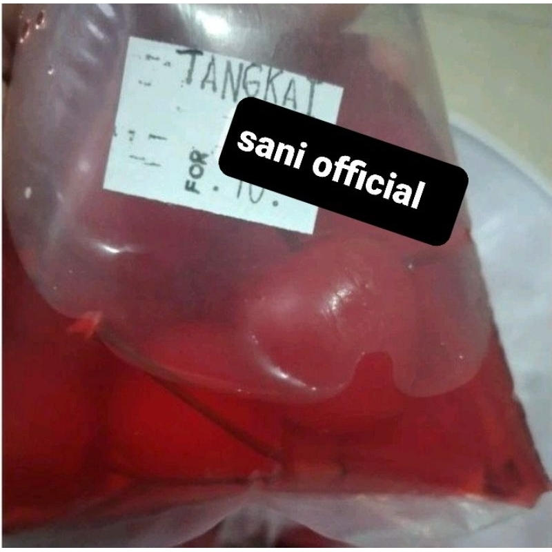 

Cherry tangkai Ceri tangkai merah