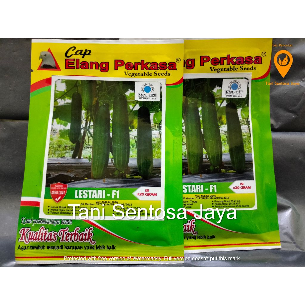 Benih Mentimun Lestari F-1 20gr Cap Elang Perkasa