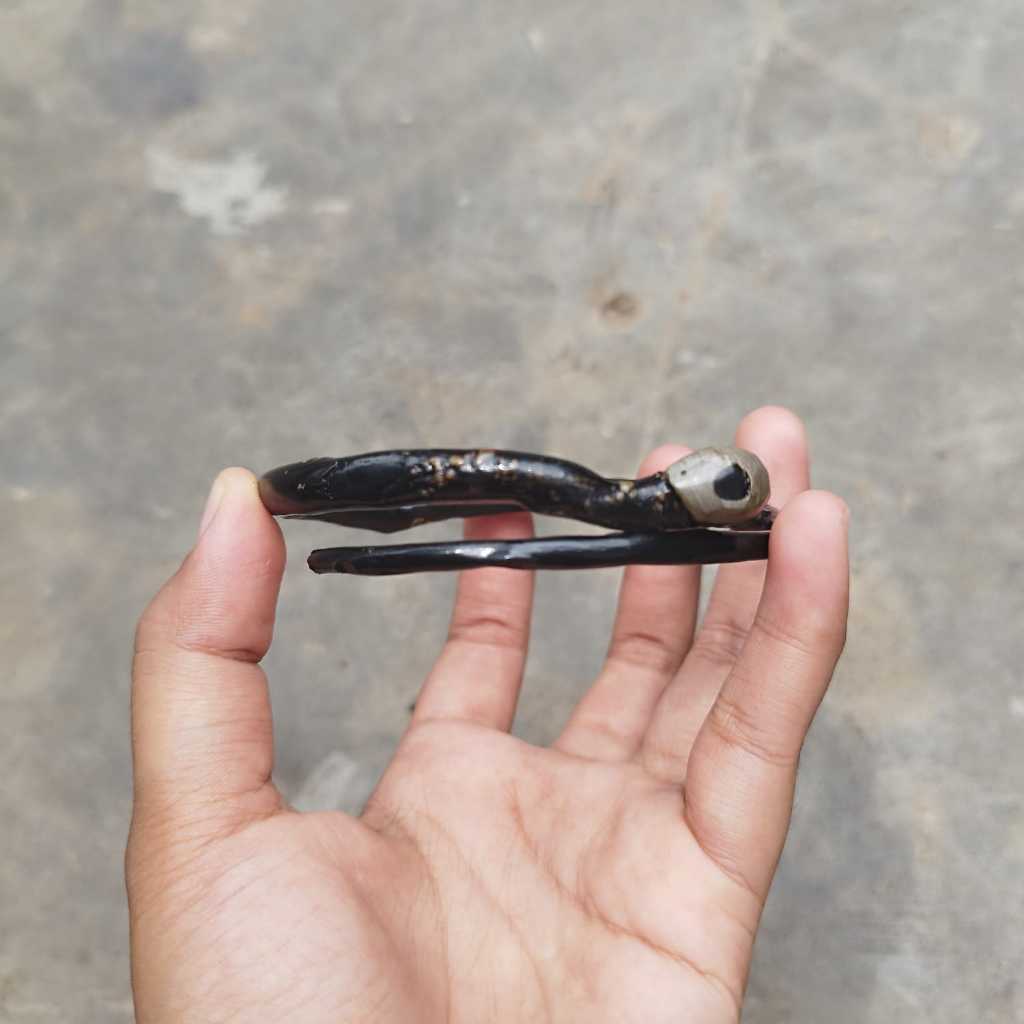 Gelang Akar Bahar Bonggol Mini