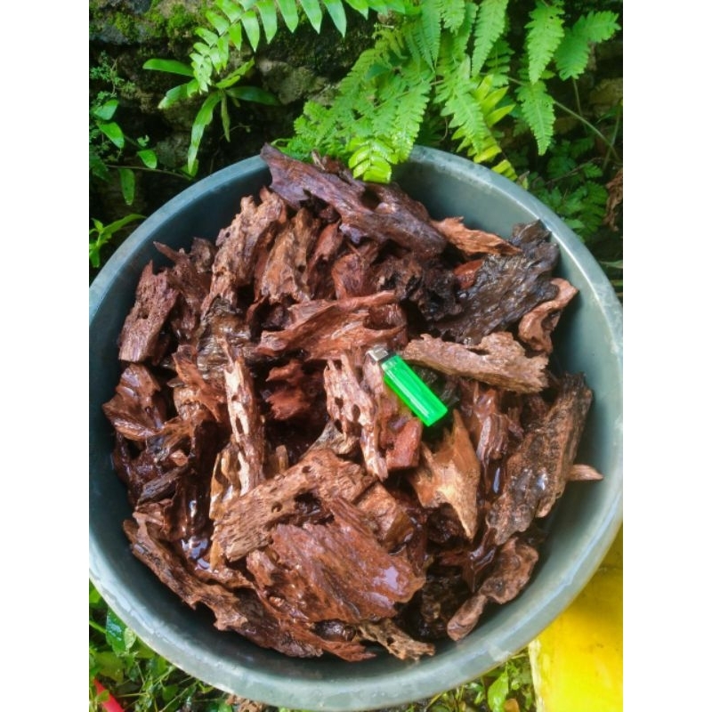 kayu rentek aquascape mini tenggelam