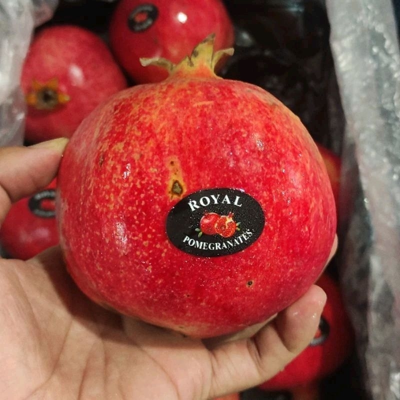 

BUAH DELIMA IMPORT PREMIUM BIJI MERAH INDIA (1 BUAH 300-350 GR )