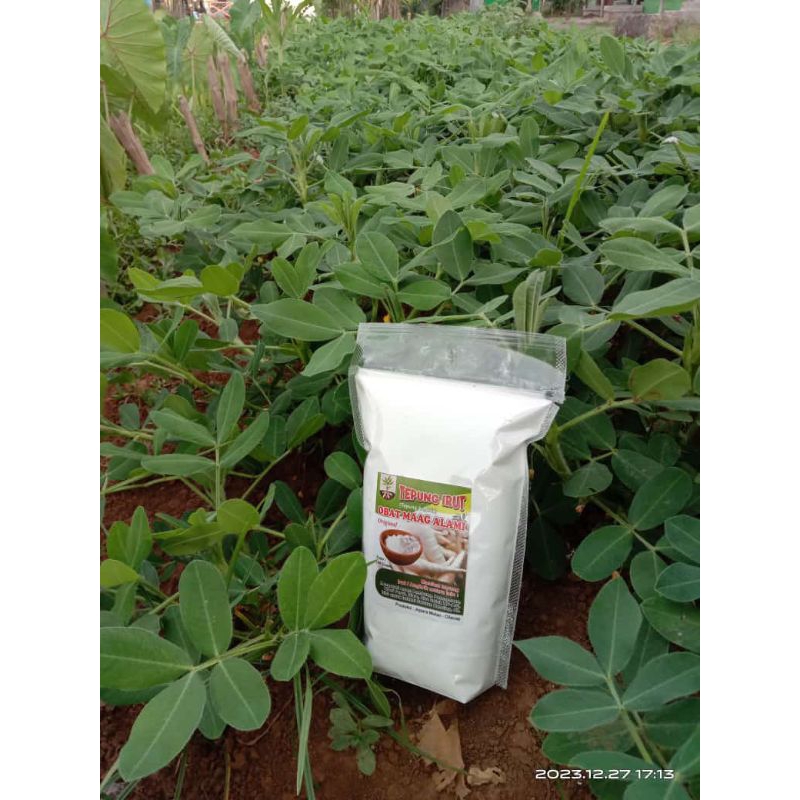 

Tepung pati irut ori