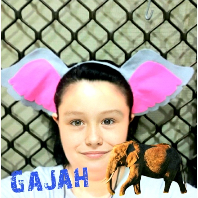 Bando Gajah