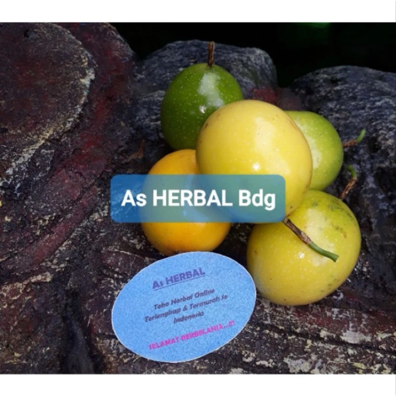

Buah markisa kuning segar 500 gram petik langsung-az